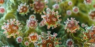 Η ανακάλυψη του πρώτου εμβολίου - Image 2