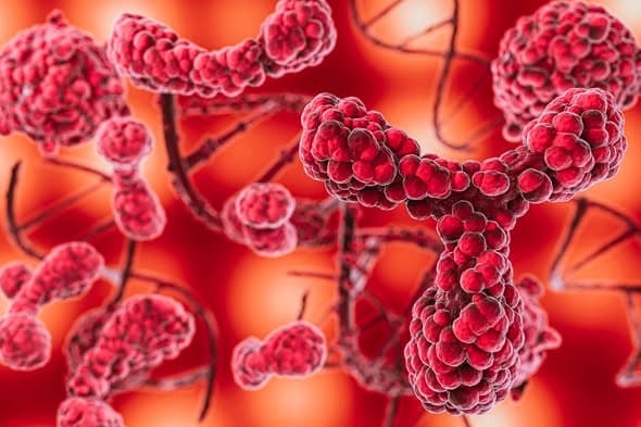 Λιποπρωτεΐνη (α)